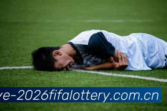 2026世界杯官方数据平台